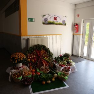 60 Jahre OGV Reitscheid