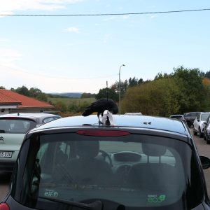 60 Jahre OGV Reitscheid